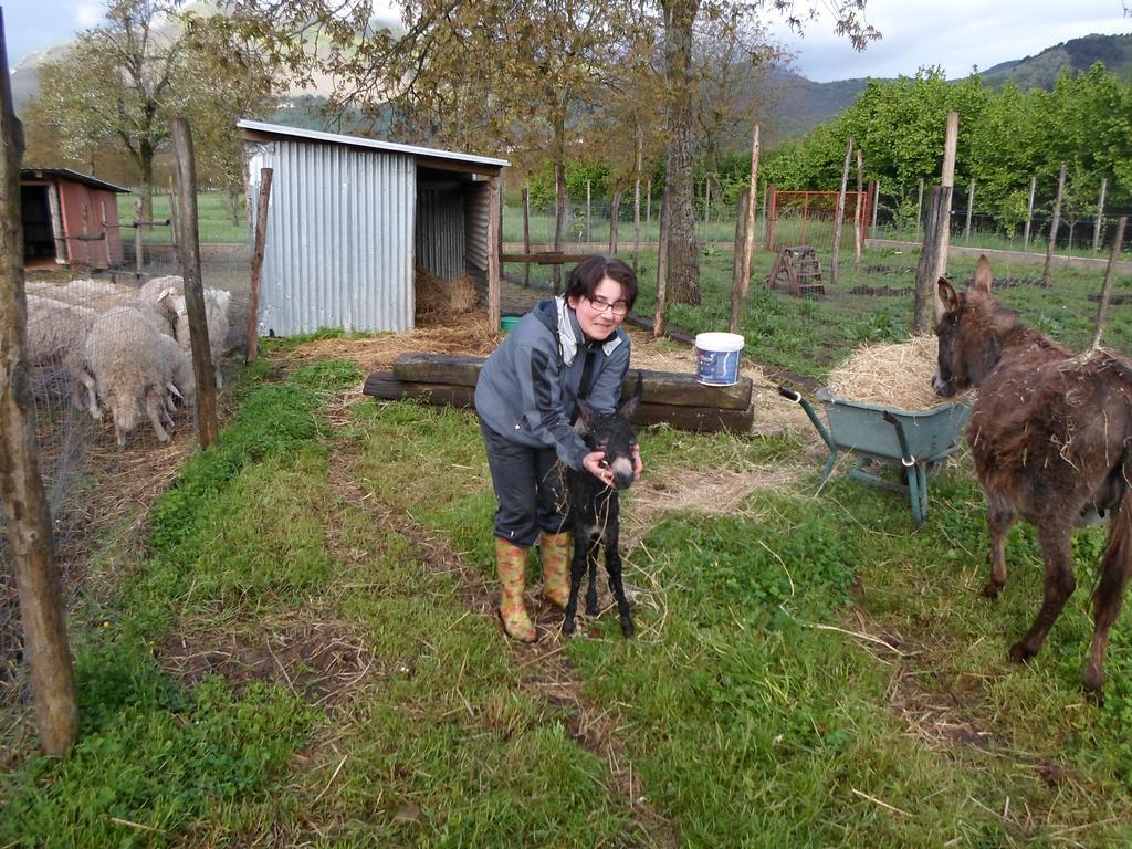 Azienda Agrituristica Pericle Montella Luaran gambar