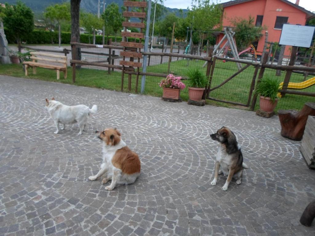 Azienda Agrituristica Pericle Montella Luaran gambar