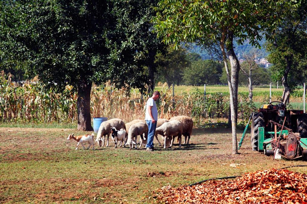 Azienda Agrituristica Pericle Montella Luaran gambar