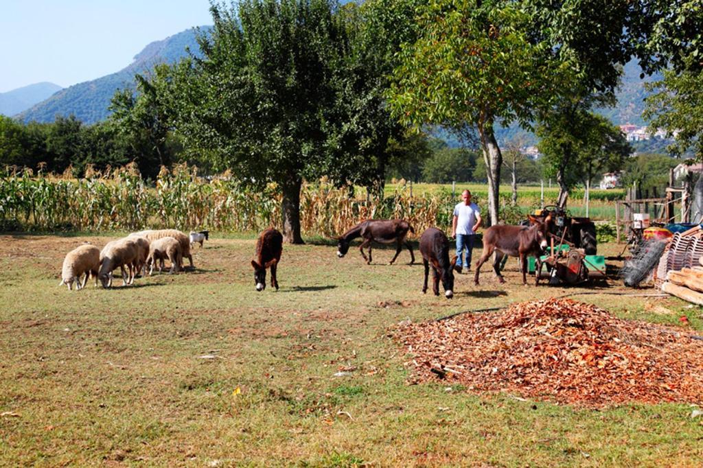 Azienda Agrituristica Pericle Montella Luaran gambar