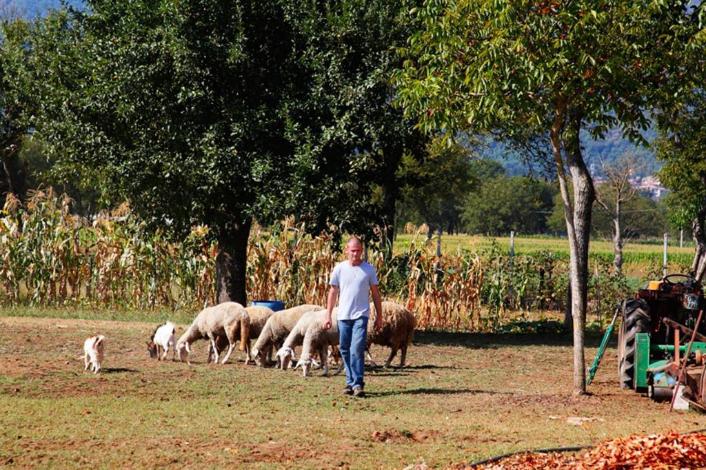 Azienda Agrituristica Pericle Montella Luaran gambar